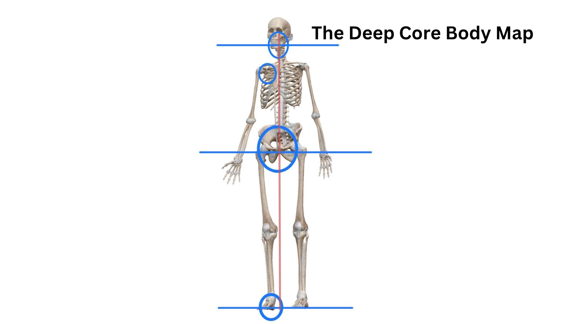 The deep core body map is a theory of everything