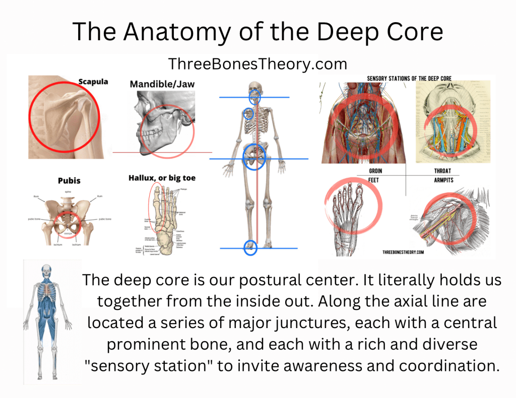 The substrate is the&nbsp;flesh.