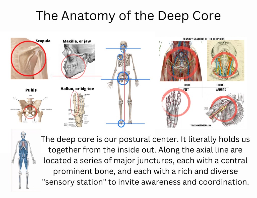 The Phase Transition: a handful of&nbsp;bones