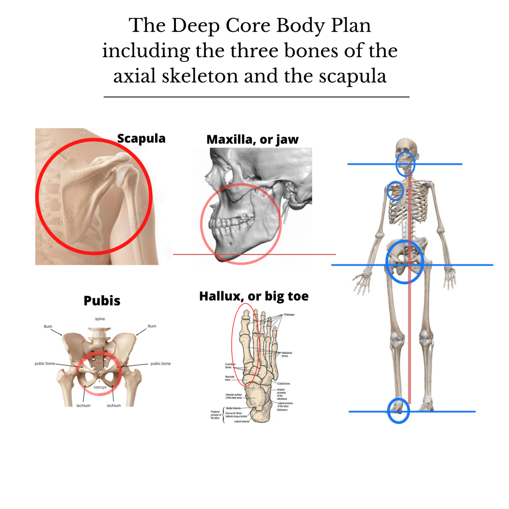 Self aware, self directed, self healing, and self&nbsp;evident.