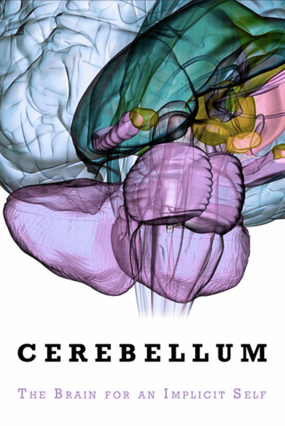 The cerebellum is a major organ of the brain that contains within it a distinct form of self-awareness, the “implicit itself” (Ito, Masai 2011).