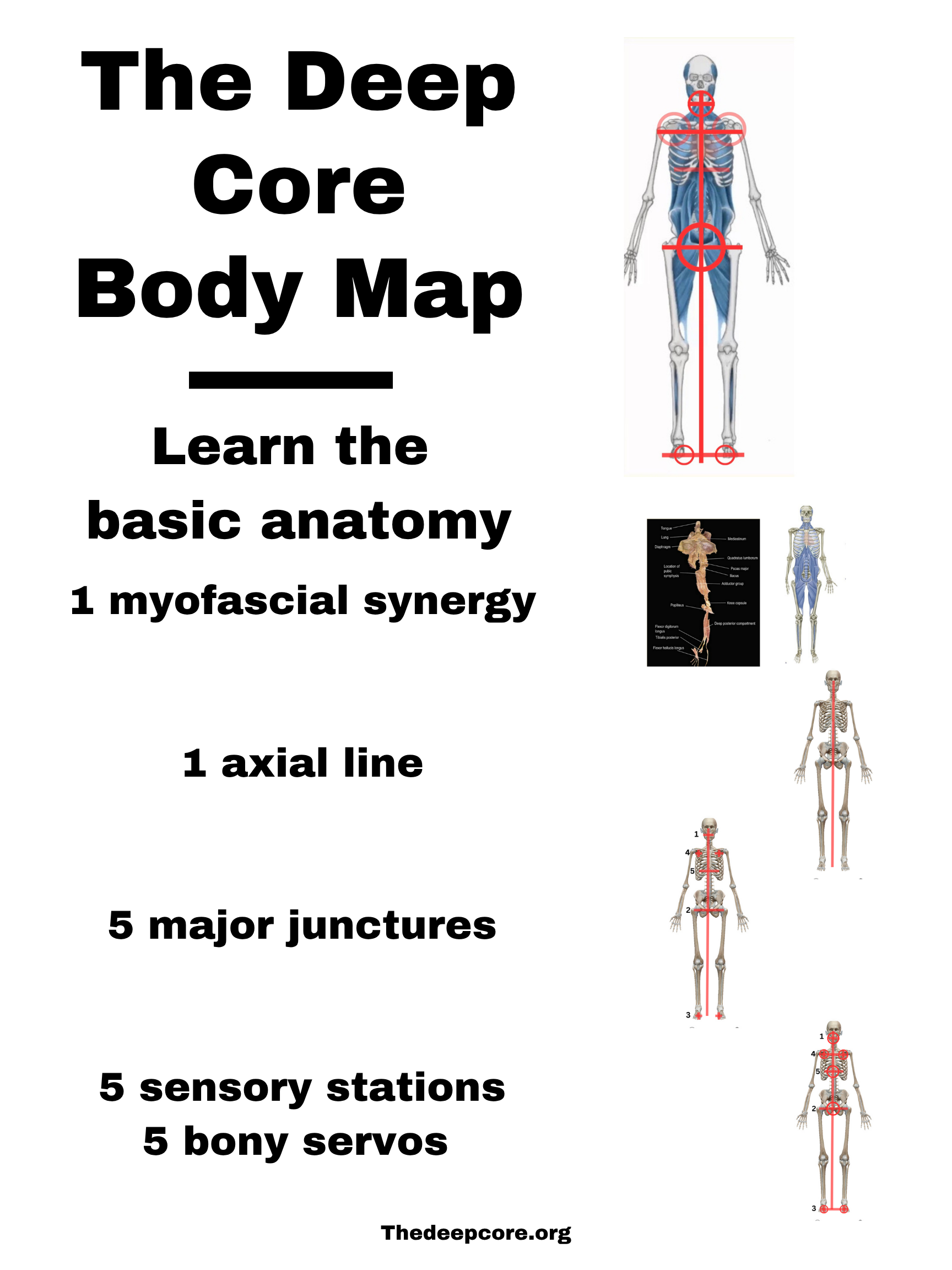 This is an overview of our axial structure. 